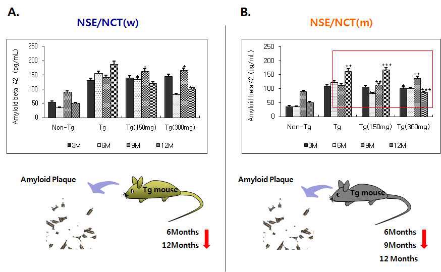 Figure 10. Accumulation of Amyloid-β with N-acetylcystein-treated Tg mice byage-dependent.