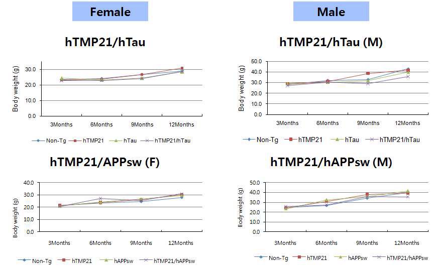 Figure 18. Body weight of hTMP21/hTau and hTMP21/hAPPsw Tg mice according to age-dependent. There were no different on weight of 3months, 6months, 9months, 12months
