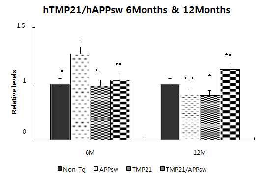 Figure 22. hTMP21/APPsw 6, 12개월 β-secretase activity측정