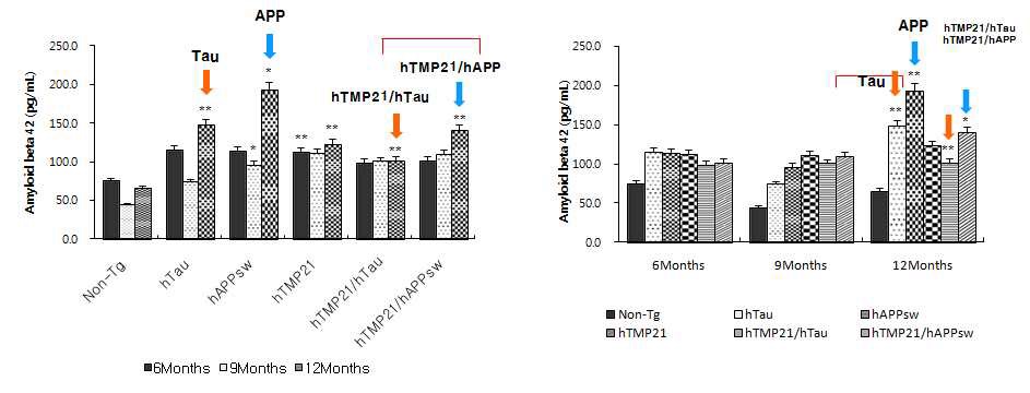 Figure 23. hTMP21/hAPPsw 6, 9, 12개월 Amyloid β 42 (Aβ42) 측정