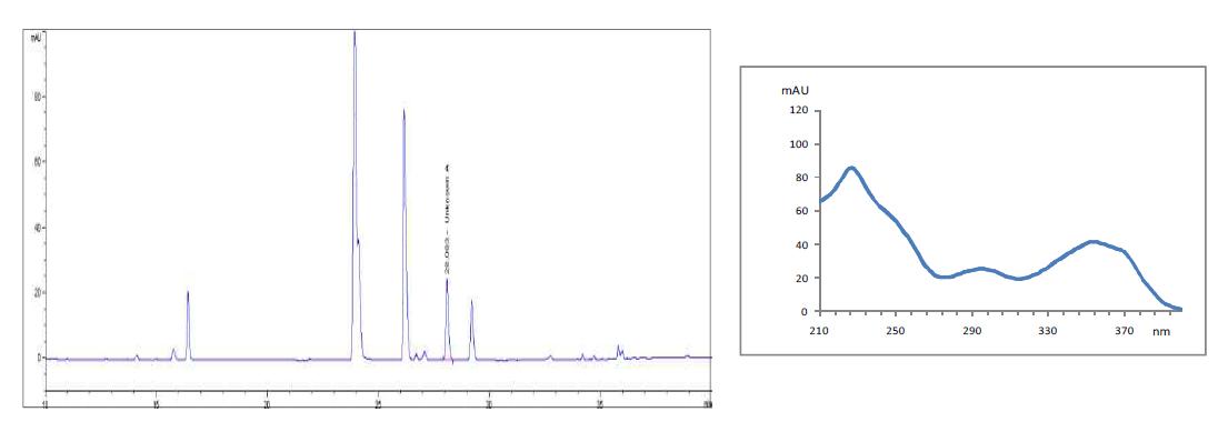 Chromatogram and PDA-spectrum of propoxyphenylthiohydroxyhomosildenafil