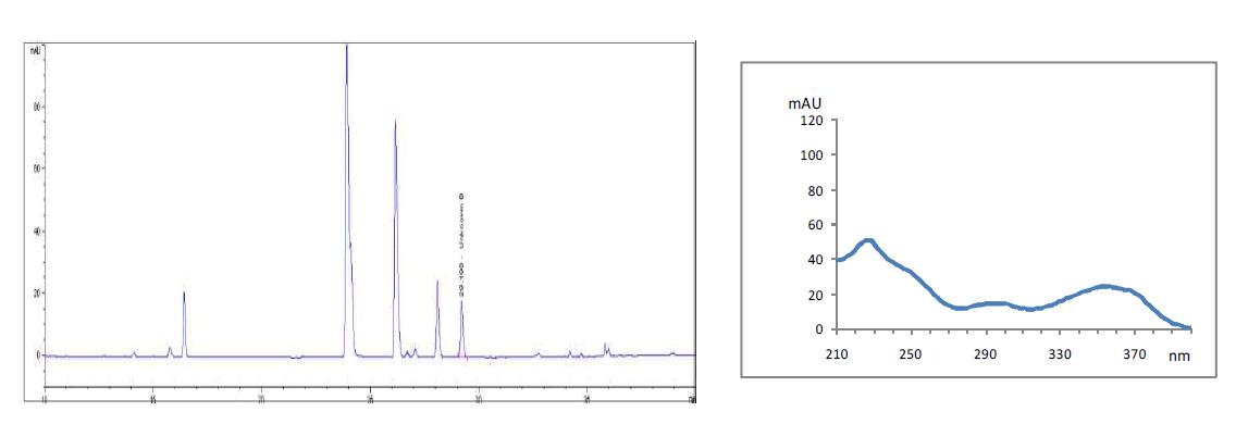 Chromatogram and PDA-spectrum of propoxyphenythiohomosildenafil
