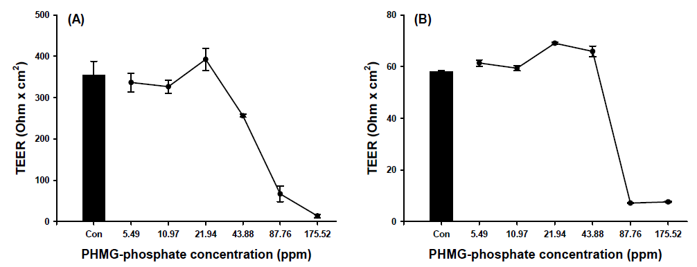 PHMG-phosphate에 의한 TEER 값의 변화(A: 기관지모델; B: 폐포모델)