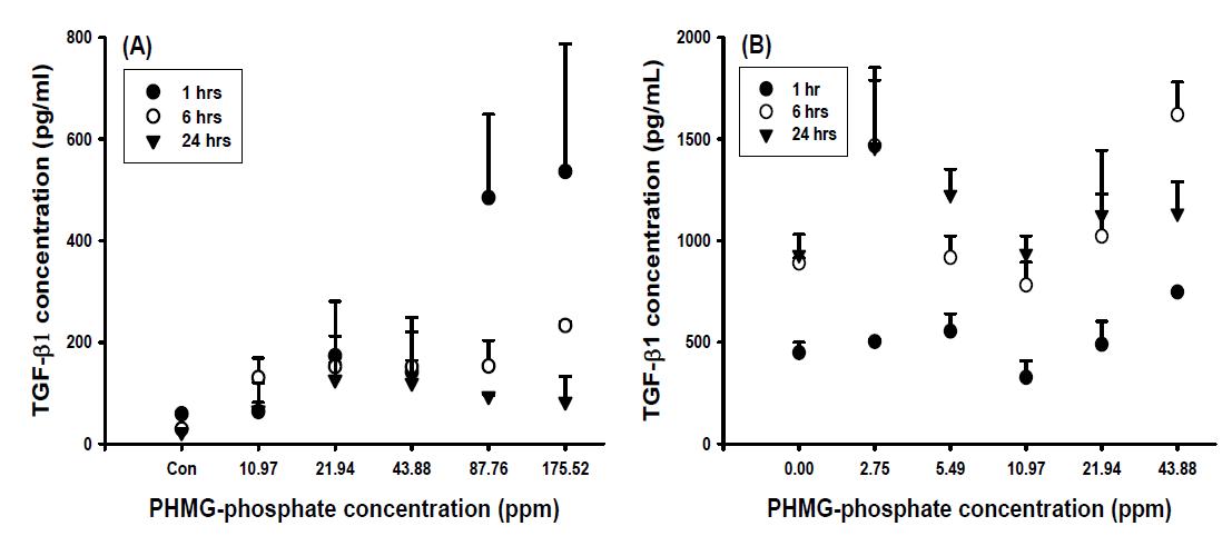 PHMG-phosphate에 의한 TGF-β1의 증가 (A: 기관지모델, B: 폐포모델)