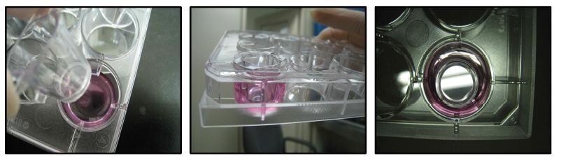 세포배양용기의 적합성 검사