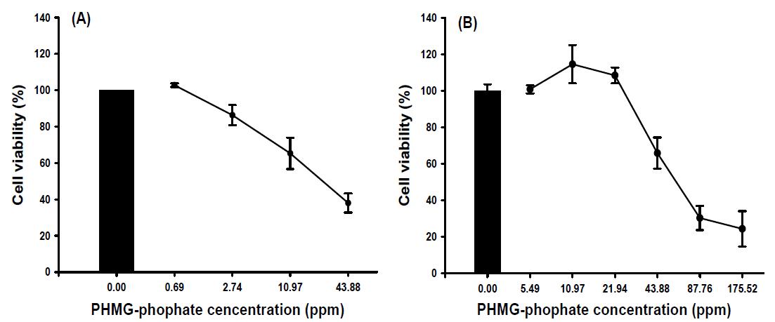 기관지모델에서의 PHMG-phosphate 세포독성(A: Mono-culture; B: Co-culture)