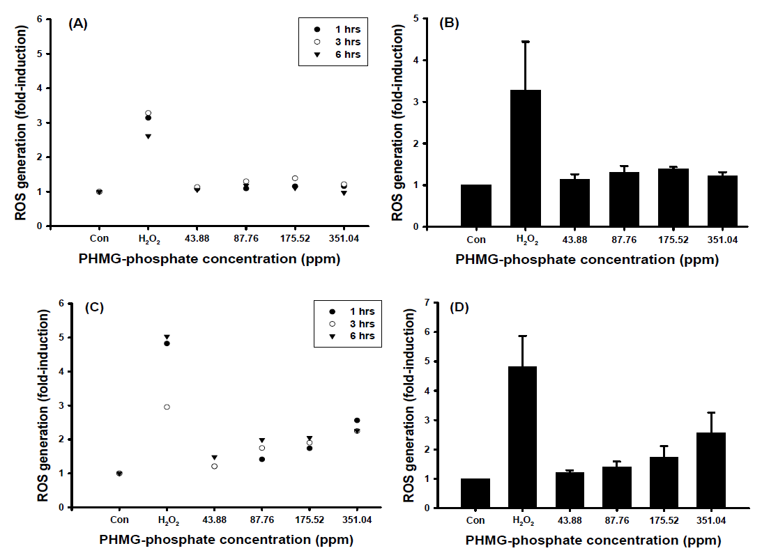 PHMG-phosphate에 의한 활성산소 생성
