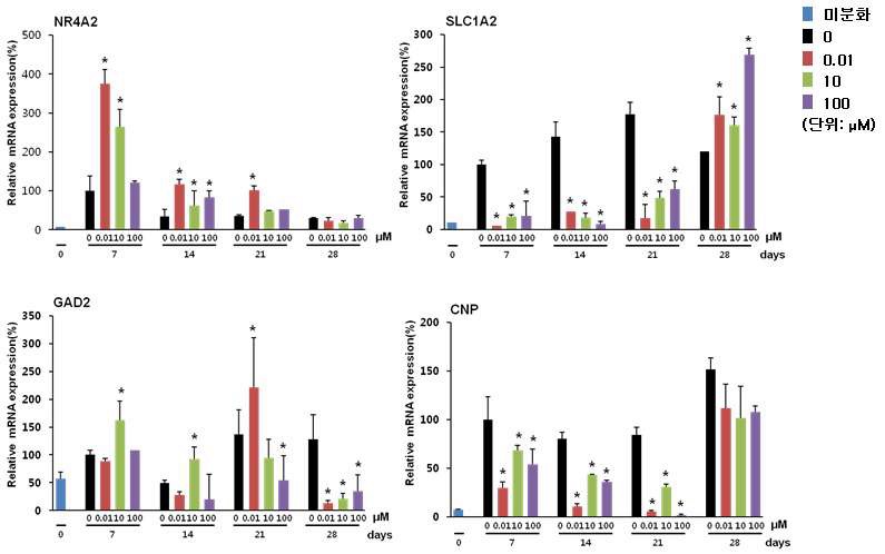 Fig. 50. 신경세포로 분화 중 발생독성물질인 5-fluorouracil 처리 시 표지 마커의 발현 확인