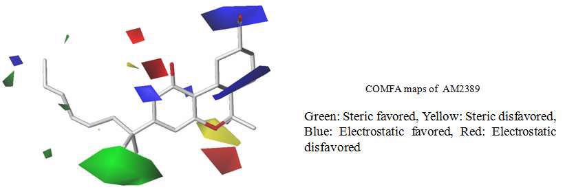 그림 3. AM2389의 CoMFA maps