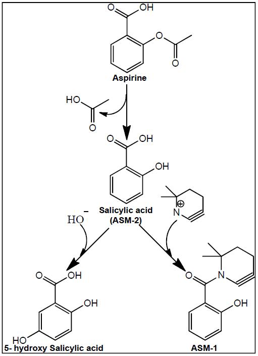 Metabolic pathway of aspirin by intestinal microflora