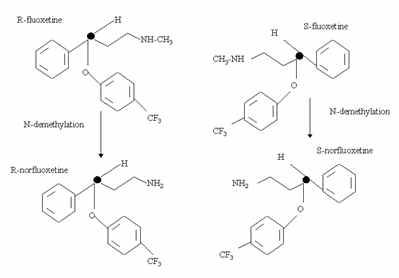 Metabolic pathway of prozac in liver.