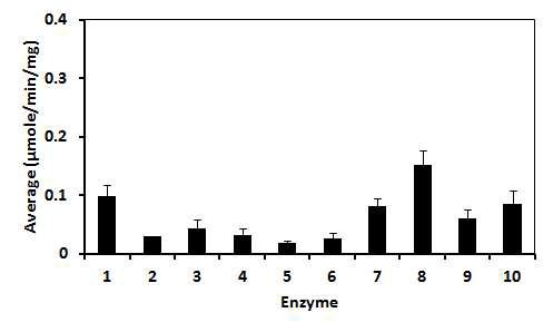 Enzyme activities of fecal microbial enzyme mixes (n=3).