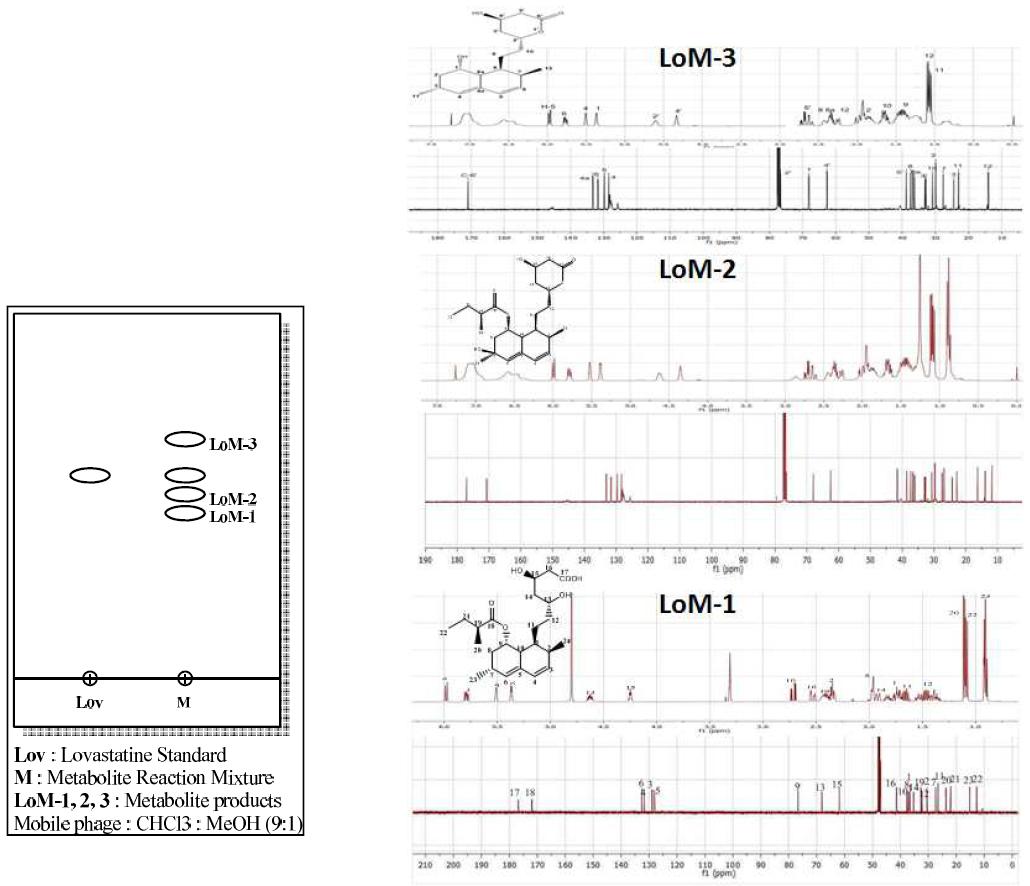 TLC and NMR chromatograms for metabolites of lovastatin by human stool