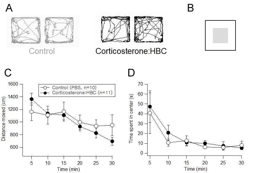 Corticosterone:HBC 반복 주입에 의한 locomotor 및 불안 분석