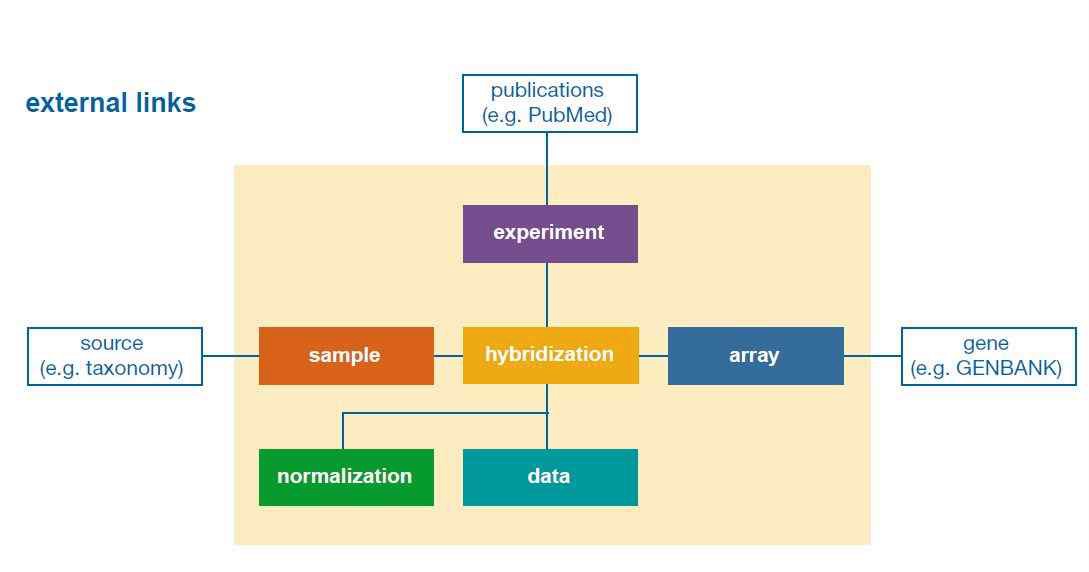 그림. 발현 데이터 표준안 포맷의 구성요소