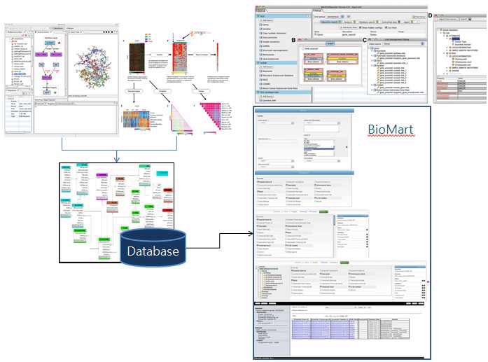 그림. 사용자가 여러 경로로 유전체 프로파일 정보를 BioMart로 변환하여 검색, 분석할 수 있는 BioMart web GUIs.