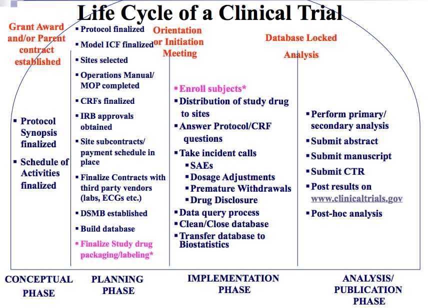 임상시험의 Life cycle