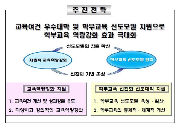 국내 대학교의 학부교육 선진화 선도대학 모델