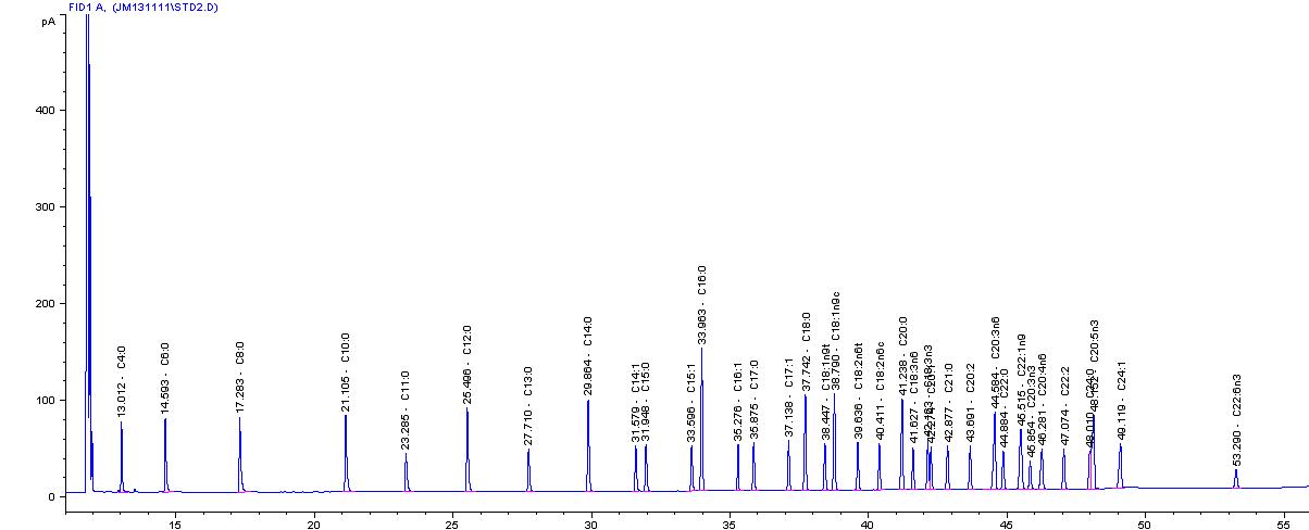 초콜릿의 지방산 분석 (STD)