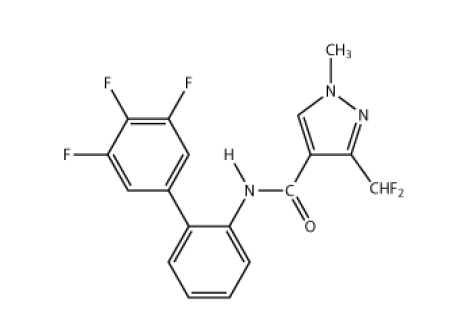 Molecular structure of fluxapyroxad