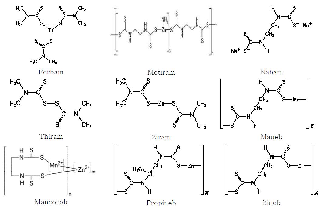 Molecular structure of dithiocarbamates