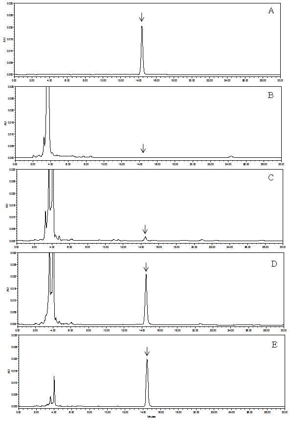 HPLC-UVD chromatograms corresponding to: A, fenpyrazamine standard at 5.0 μg/mL; B, control peach; C, spiked at 0.05 mg/kg; D, spiked at 0.5 mg/kg, and E, spiked at 5.0 mg/kg