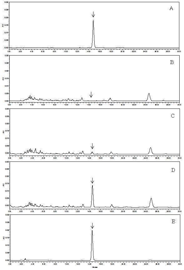 HPLC-UVD chromatograms corresponding to: A, fenpyrazamine standard at 5.0 μg/mL; B, control mandarin; C, spiked at 0.05 mg/kg; D, spiked at 0.5 mg/kg, and E, spiked at 5.0 mg/kg