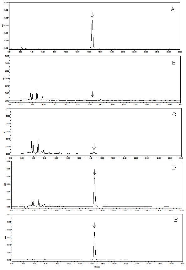 HPLC-UVD chromatograms corresponding to: A, fenpyrazamine standard at 5.0 μg/mL; B, control pepper; C, spiked at 0.05 mg/kg; D, spiked at 0.5 mg/kg, and E, spiked at 5.0 mg/kg