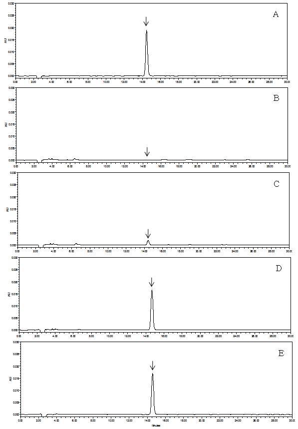 HPLC-UVD chromatograms corresponding to: A, fenpyrazamine standard at 5.0 μg/mL; B, control hulled rice; C, spiked at 0.05 mg/kg; D, spiked at 0.5 mg/kg, and E, spiked at 5.0 mg/kg