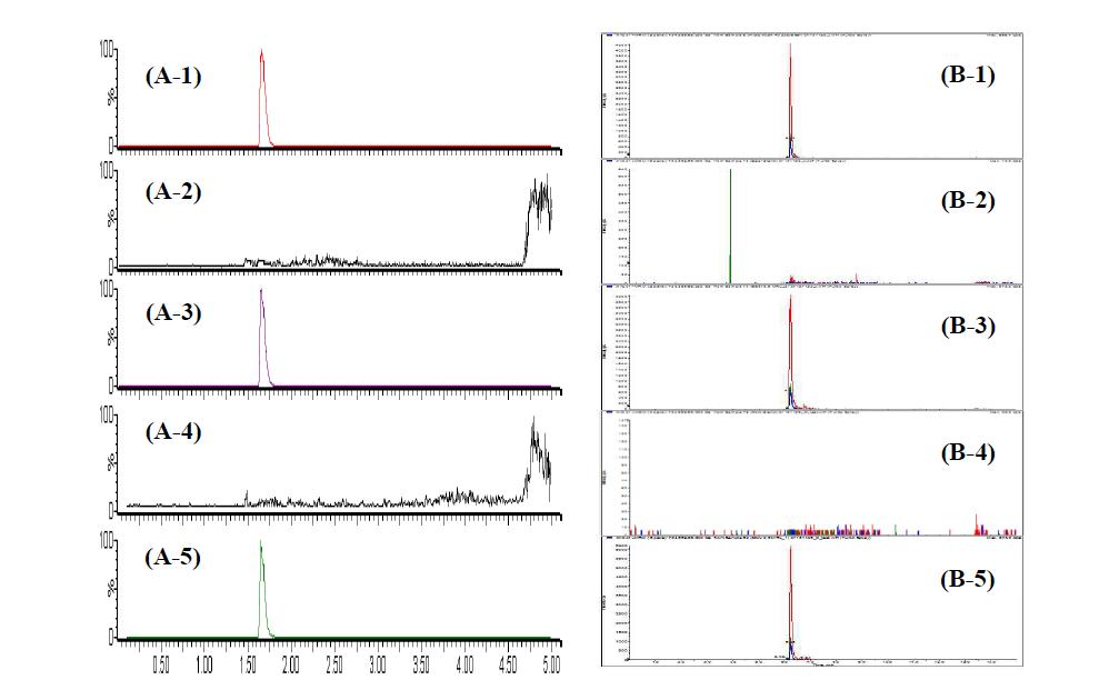 Chromatogram of tildipirosin standard at 0.05 mg/kg (A-1), blank beef sample (A-2), fortified beef at 0.05 mg/kg (A-3), blank pork sample (A-4) and fortified pork at 0.05 mg/kg (A-5) in Busan regional FDA and the next chromatogram of tildipirosin standard at 0.05 mg/kg (B-1), blank beef sample (B-2), fortified beef at 0.05 mg/kg (B-3), blank pork sample (B-4) and fortified pork at 0.05 mg/kg (B-5) in Gyeong-In regional FDA.