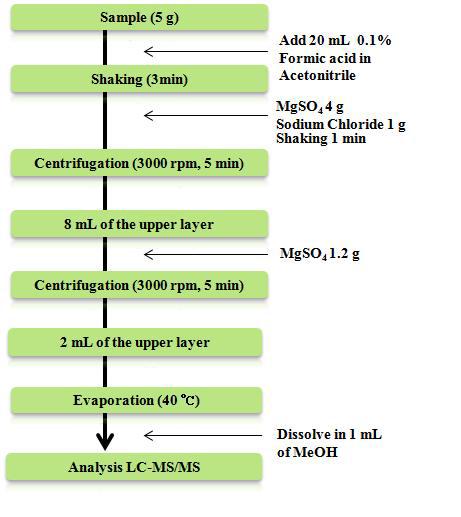 flow chart for TeA analysis