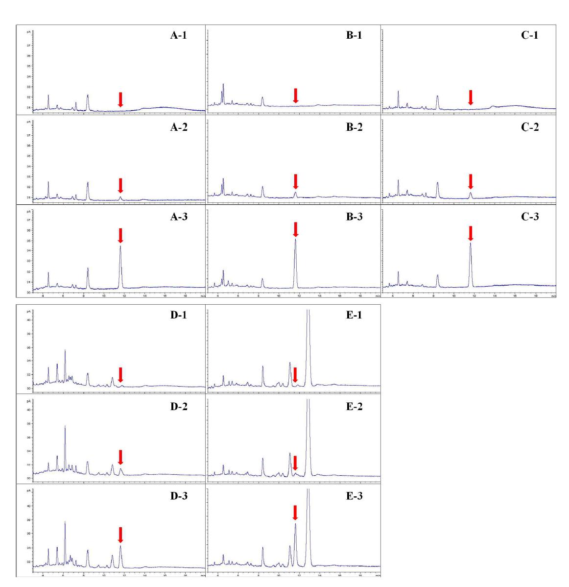 Chromatograms of fortified 6-benzylaminopurine in agricultural commodities