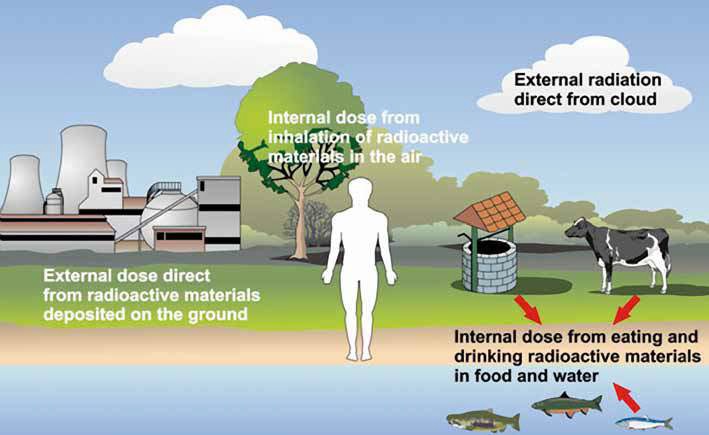 그림 3. 환경으로 방출된 방사성 물질의 의한 피폭경로