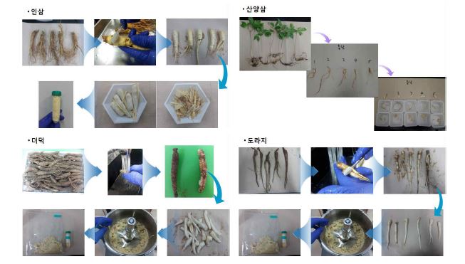 Figure 4. Procedures of sample preparation