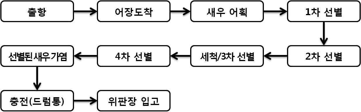 새우 어획 과정 현황