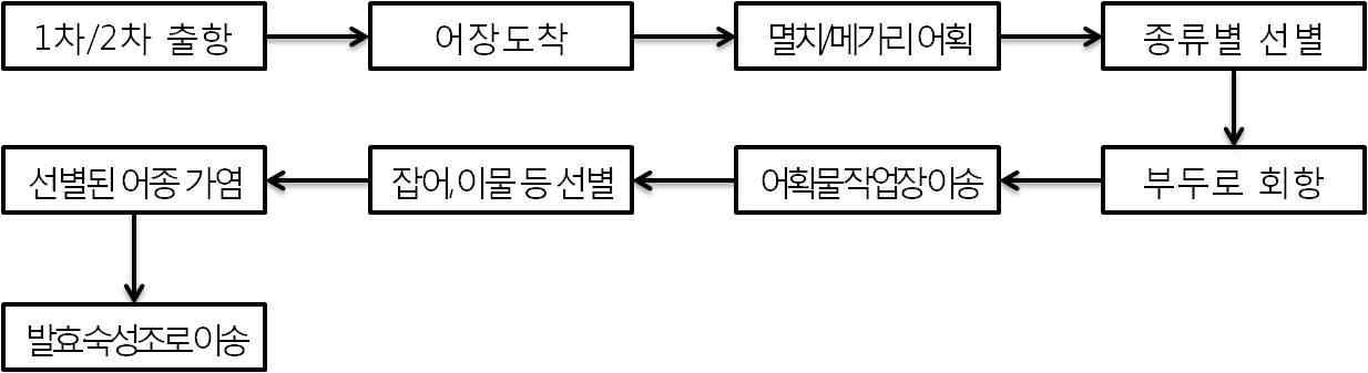 멸치 어획 과정 현황