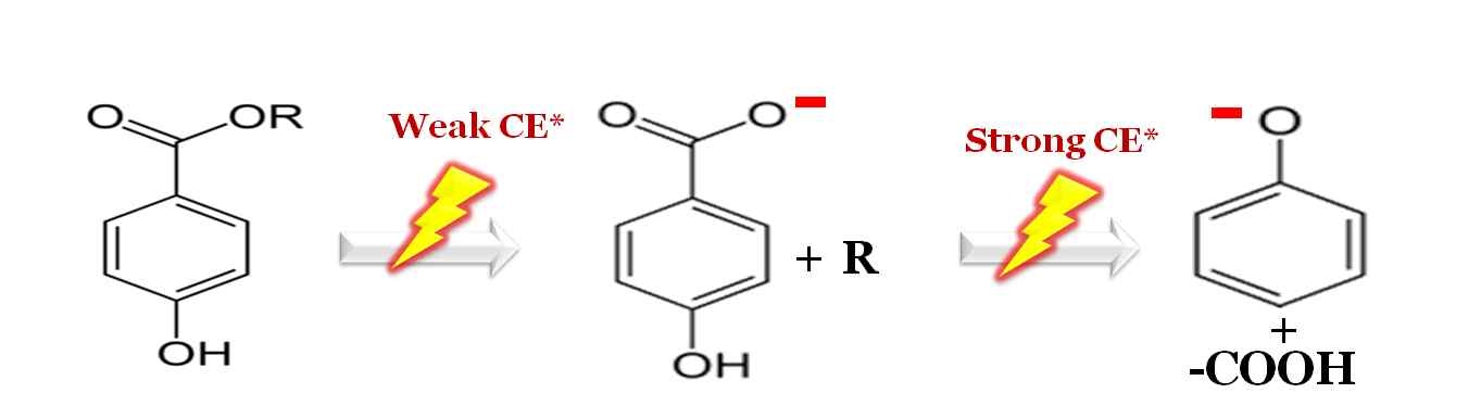 그림 9. Product ion의 fragmentation