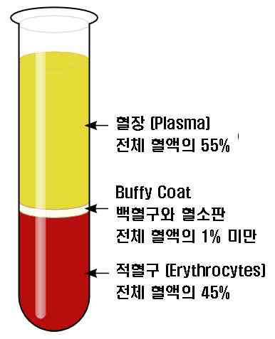 혈액을 원심분리 하여 층 분리 된 모습