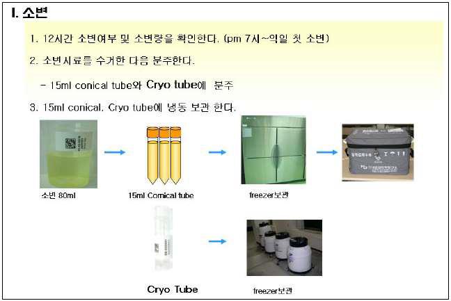 Urine 인체시료 제작예