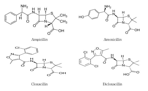 Fig. 1. Molecular structures of penicillins