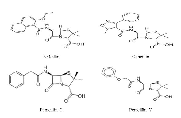 Fig. 1. Molecular structures of penicillins