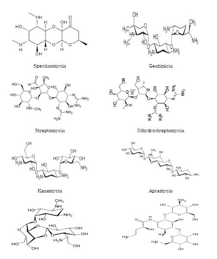 Fig. 6. Molecular structures of aminoglycosides