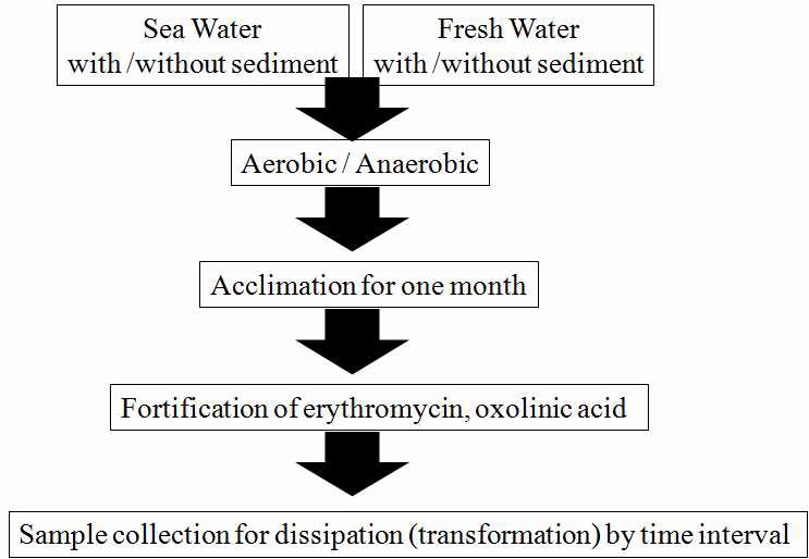 Fig. 15. Schematic flow of aerobic and anaerobic transformation of veterinary drugs for fish in aquatic (sediment) systems