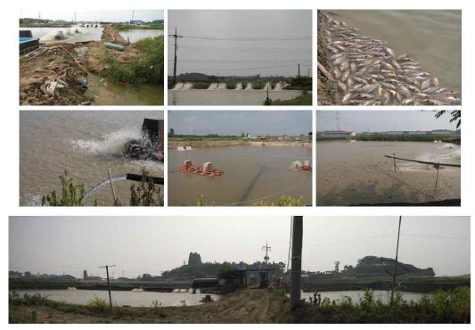 Fig. 33. Pictures of sampling sites for environmental monitoring