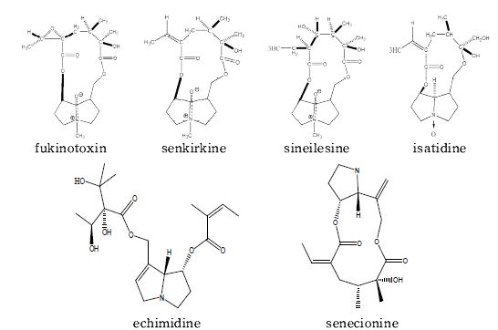 Fig. 1. Chemical structures of pyrrolizidine alkaloids observed in natural plants.