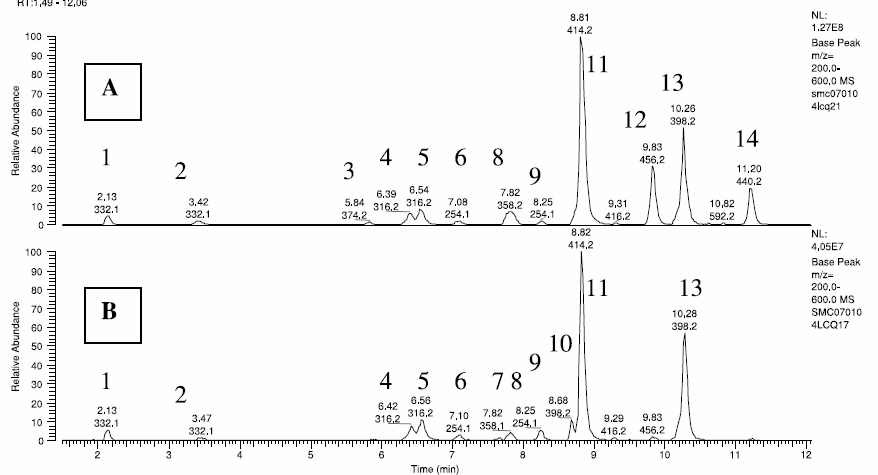 Fig. 4. HPLC-ESI/MS TIC showing alkaloidal profiles A) flowers and B) leaves of E. plantagineum