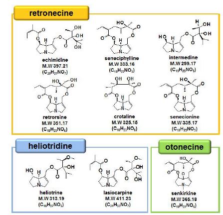 Fig. 9. Chemical structures of pyrrolizidine alkaloids investigated in this study