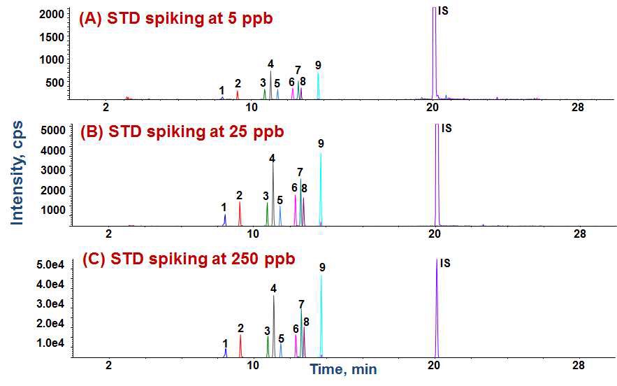 Fig. 32. TICs of Pyrrolizidine alkaloids for spiked samples at (A) 5 ppb, (B) 25 ppb, and (C) 250 ppb by LC-ESI-MS/MS-MRM mode. Peak identities