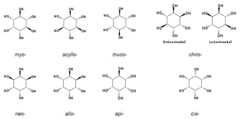 Fig.1. 이노시톨의 9가지 이성질체의 구조