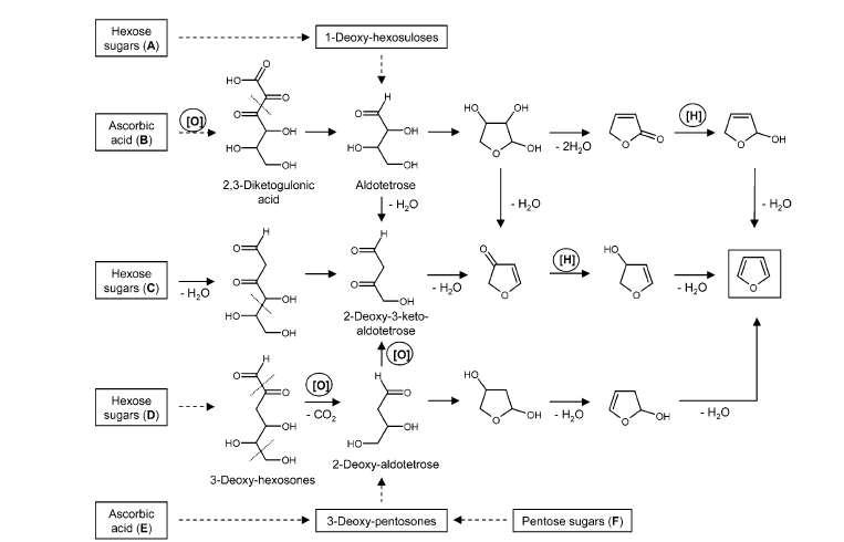 Schematic formation of furan from pentose and hexose sugar as well as ascorbic acid by competing pathways involving oxidation and reduction steps